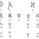 Illustration for article titled What Made the Y Chromosome So Tiny?